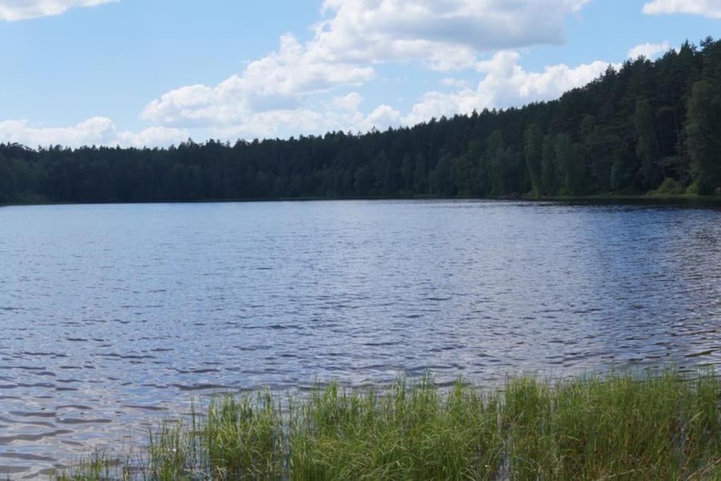 Domek Nad Jeziorem Kaszuby Max 6 Os Bieszkowice Zewnętrze zdjęcie